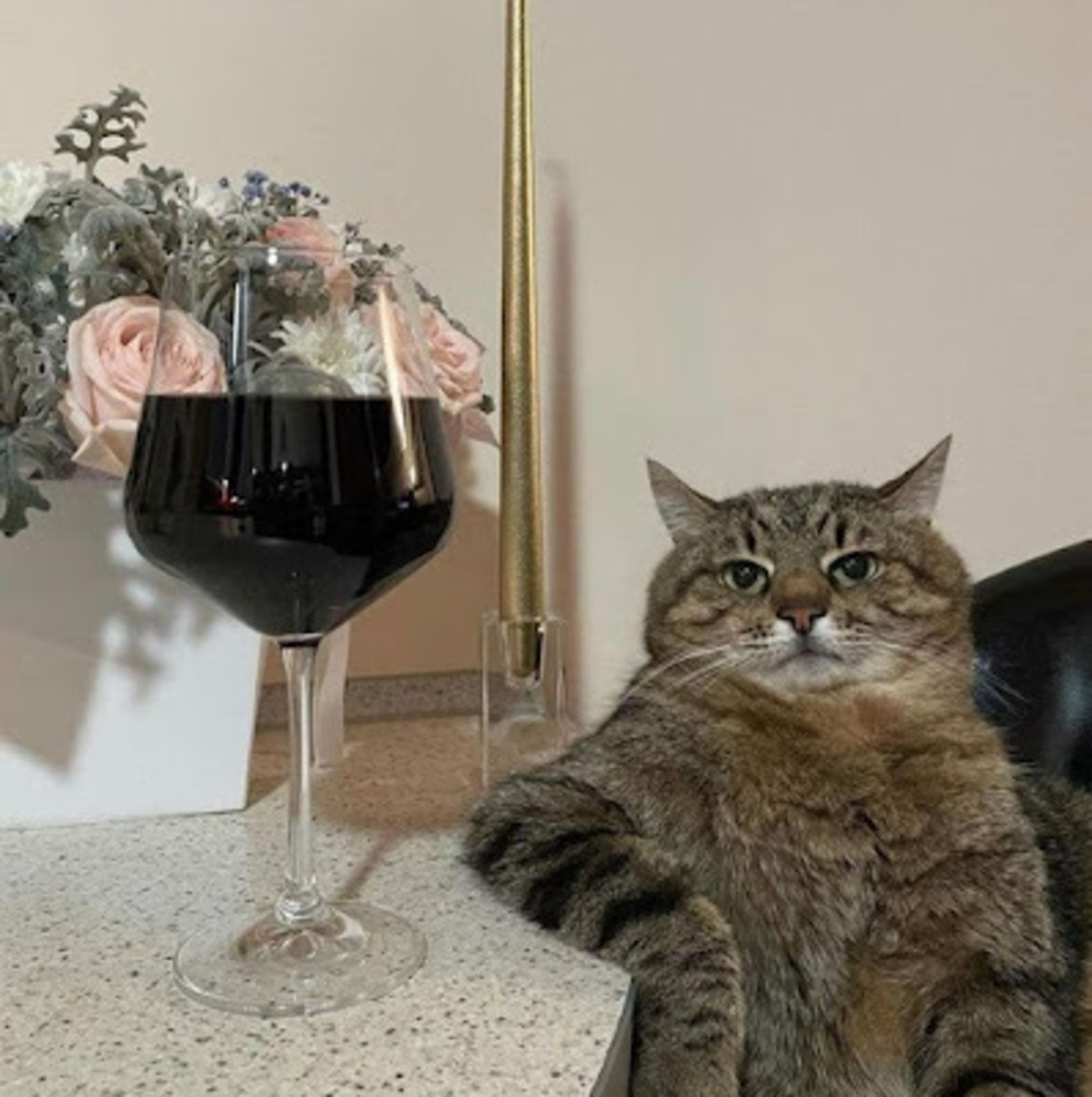 Meet your Posher, Linc